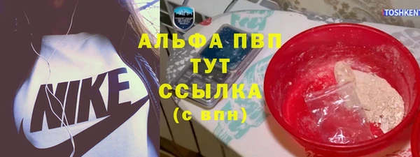 бошки Гусев