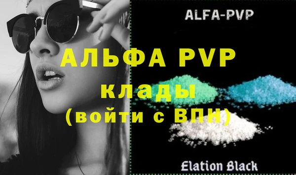 бошки Гусев
