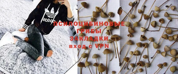 экстази Гусь-Хрустальный
