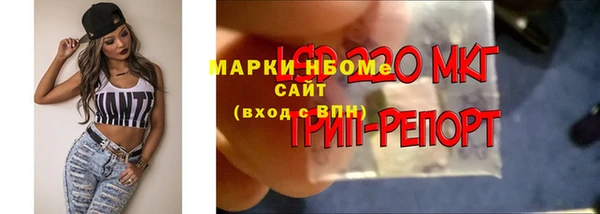 бошки Гусев