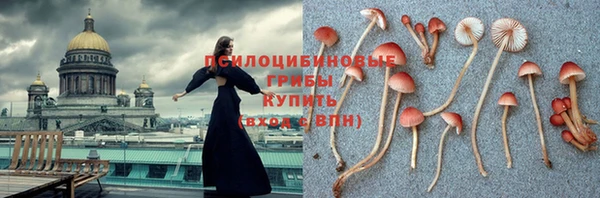 амфетамин Гусиноозёрск