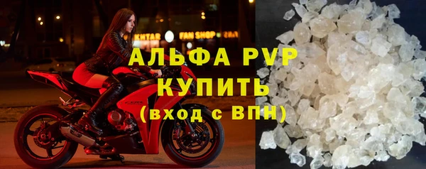 бошки Гусев