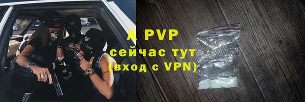 бошки Гусев
