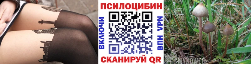 Галлюциногенные грибы MAGIC MUSHROOMS  Купить закладки  Петухово 